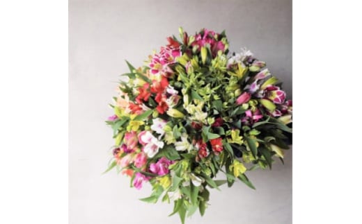 アルストロメリア 切花(色・品種おまかせ) 約30本セット【1567298】