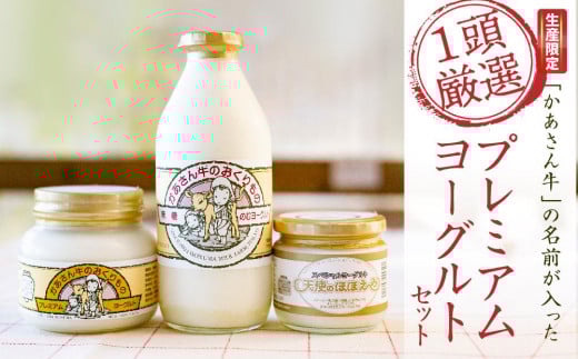 【限定生産】「かあさん牛」の名前が入った「1頭厳選」プレミアムヨーグルトセット | ヨーグルト 限定 美味しい 濃厚 ギフト おすすめ 送料無料 東京 八王子