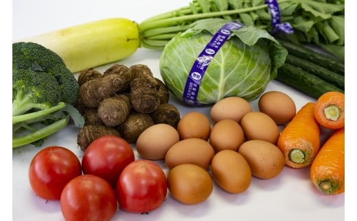 【6か月定期便】東京・八王子産 産直朝どれ新鮮野菜&卵の詰め合わせ | 野菜 卵 たまご 新鮮 フレッシュ 産直 おいしい 送料無料 東京 八王子