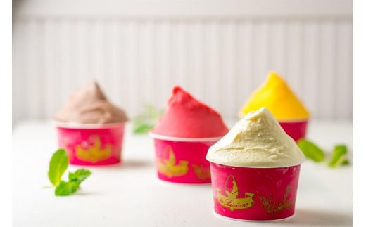 イタリアンジェラート専門店ダ ルチアーノ おすすめジェラート 12個セット | ジェラート イタリア 詰め合わせ スイーツ デザート 贈答用 おいしい 送料無料 東京 八王子