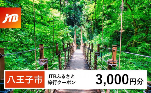 【八王子市】JTBふるさと旅行クーポン（3,000円分）有効期間3年（Eメール発行）｜旅行 トラベル 予約 国内旅行 JTB 宿泊 観光 体験 旅行券 宿泊券 旅行予約  ホテル 旅館 チケット 子供 子連れ カップル 家族 人気 おすすめ 旅行クーポン 店頭 オンライン ネット予約 電話 有効期間3年