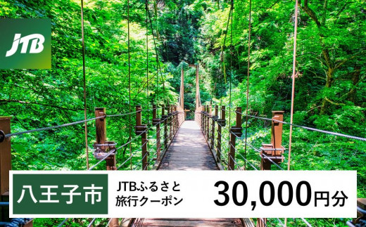 【八王子市】JTBふるさと旅行クーポン（30,000円分）有効期間3年（Eメール発行）｜旅行 トラベル 予約 国内旅行 JTB 宿泊 観光 体験 旅行券 宿泊券 旅行予約  ホテル 旅館 チケット 子供 子連れ カップル 家族 人気 おすすめ 旅行クーポン 店頭 オンライン ネット予約 電話 有効期間3年