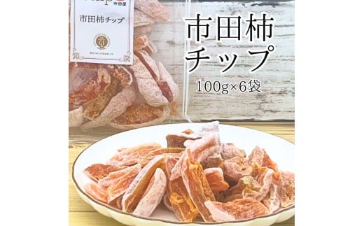 市田柿 柿チップ（100g×6袋）ひとくちサイズ