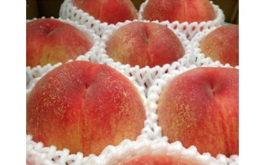 【R8年分 先行受付】長野県高森町産 桃(あかつき) 約3kg ＜2026年7月下旬発送＞ 信州 南信州 農家直送 果物 くだもの もも モモ 旬 旬の果物 旬の桃 鮮度抜群  完熟 やまやす中島農園