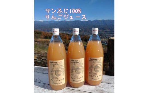 サンふじ100%りんごジュース(1L×3本) 長野県 信州 南信州 高森町 ストレートりんごジュース りんご リンゴ