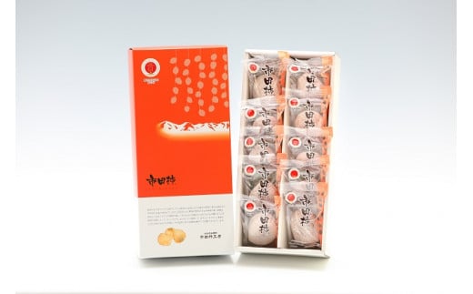 年内発送 贈答用【南信州産】市田柿 個包装化粧箱 大粒10粒入り（28ｇ×10粒 280ｇ） 長野県 信州 高森町 柿 干し柿 かき 高級 和菓子 お茶請け ドライフルーツ 自然食品 ギフト プレゼント お歳暮 JAみなみ信州