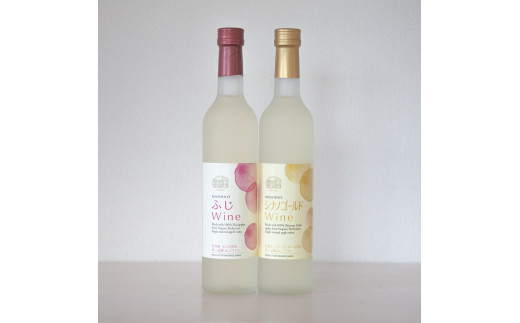 りんごワイン2本セット ふじ＆シナノゴールド 長野県 信州 南信州 高森町 リンゴ お酒 アルコール フルーツワイン 信州まし野ワイン