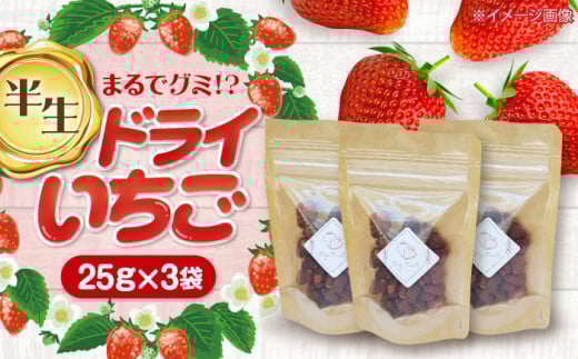 いちご 農家の手作り ドライ 苺 ドライフルーツ イチゴ フルーツ 愛西市 / しのだ農園 [AECE001]