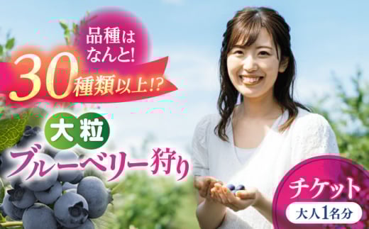 ブルーベリー狩り チケット 大人1人分 80分間食べ放題 ブルベリー 体験 チケット 愛西市 / あいさいベリーLABO [AEBZ007]