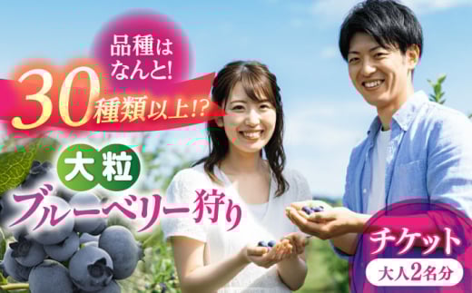 ブルーベリー狩り チケット 大人2人分 80分間食べ放題 中学生以上 狩り 体験 ブルーベリー 愛西市 / あいさいベリーLABO [AEBZ008]