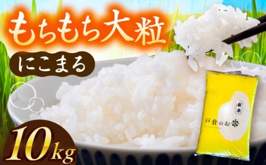 米 ＼10月より順発送／【令和7年度産 新米 】 にこまる 白米 10kg お米 精米 白米 米 お米 10kg 10キロ 白米 精米 新米 コメ ご飯 ごはん 愛知県産 国産 県産米 国産米 産地直送 令和7年 特別栽培米 愛西市 / 戸倉トラクター [AECS056]