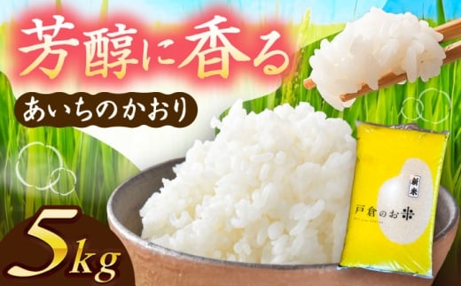 米 ＼10月より順発送／【 令和7年度産 新米 】 あいちのかおり 白米 5kg お米 ご飯 米 お米 5kg 5キロ 白米 精米 新米 コメ ご飯 ごはん 愛知県産 国産 県産米 国産米 あいちのかおり 産地直送 令和7年 愛知県 愛西市 / 株式会社戸倉トラクター [AECS001]