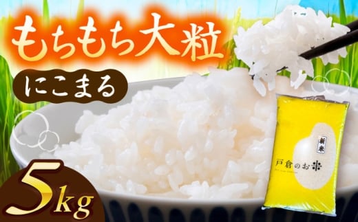 ＼10月より順発送/ [令和7年度産 新米 ] にこまる 白米 5kg お米 精米 ご飯 愛西市 / 株式会社戸倉トラクター [AECS055]