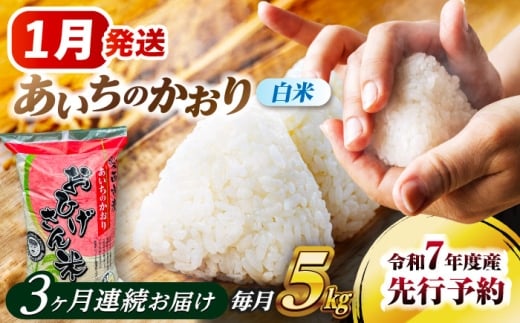 米 【3回定期便】【1月発送開始】 あいちのかおり 白米 5kg×3ヵ月 米 お米 5kg 5キロ 定期便 白米 精米 新米 コメ ご飯 ごはん 愛知県産 国産 県産米 国産米 あいちのかおり 発送 時期 選べる 産地直送 愛西市 / 脇野コンバイン [AECP004-1]