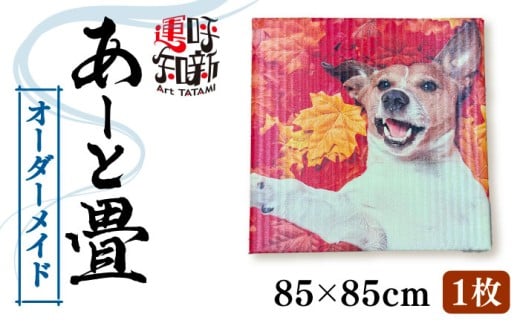 【1枚】世界にひとつだけ オーダーメイド あーと畳 たたみ 畳 愛西市 / 有限会社なかしま [AEDC003]