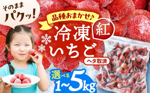 冷凍苺 1kg 果物 フルーツ 紅ほっぺ 愛西市 / くぼ苺農園 【配達不可：離島】 [AECJ025]