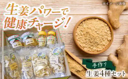 しょうがやさんの手作りセット  自家製 愛知県産 しょうが 愛西市 / しょうがやさん [AEAO005]