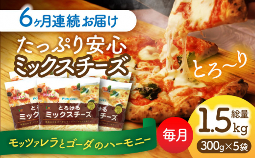 【6回定期便】 ミックスチーズセット 300g×5袋 6ヵ月お届け 合計9kg チーズ 大容量 個包装 愛西市 / 株式会社ヨシダコーポレーション [AEAA004]