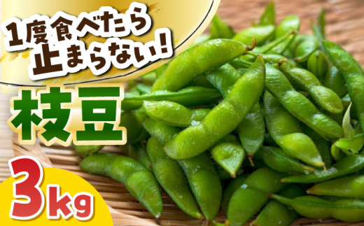 ＼産地直送/愛西市産 枝豆3kg 野菜 枝豆 おつまみ 愛西市 / お米の三輪 [AECM004]