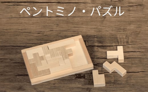 木製ブロック ペントミノ・パズル 知育玩具 脳トレ リハビリ 積み木 自然素材 愛西市 / クニミチ工芸 [AECK002]