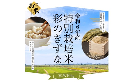 【令和6年産】埼玉県比企郡吉見町産 特別栽培米彩のきずな 【玄米】 10㎏
