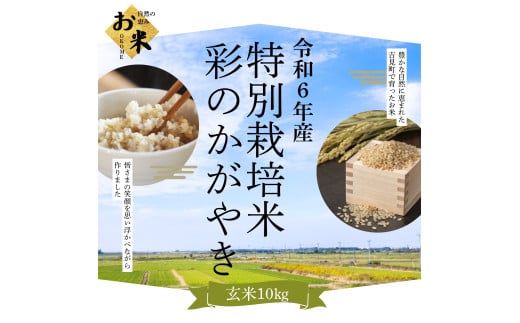 【令和6年産】埼玉県比企郡吉見町産 特別栽培米彩のかがやき 【玄米】 10㎏