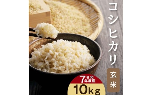 [令和7年産]埼玉県比企郡吉見町産 コシヒカリ 【玄米】 10kg
