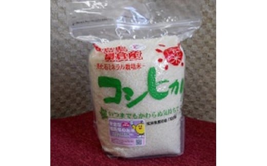 社米コシヒカリ白米12kgセット＜棚倉ブランド認証第2号＞【1069917】