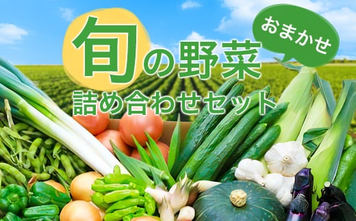 旬の野菜詰め合わせセット(石安米肥店)_野菜 セット 詰め合わせ 季節 旬野菜 産地直送 新鮮 美味しい 人気 おすすめ 送料無料【1017731】