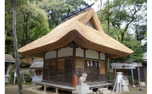 文化財の保存・活用事業など（文化振興基金）
