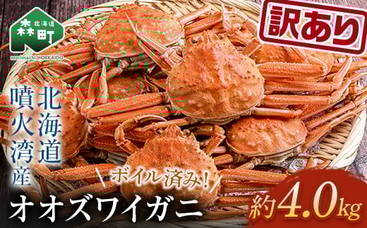 【訳あり】オオズワイガニ(ボイル済) 約4.0kg<海鮮問屋 株式会社 瑞宝> かに カニ 蟹 ガニ がに ずわいがに おおずわいがに 大ずわいがに 森町 ふるさと納税 北海道 mr1-0920