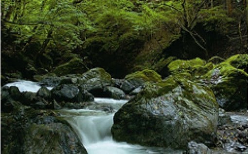 1.環境にやさしい秩父をつくります