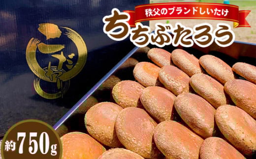 No.221 秩父のブランドしいたけ ちちぶたろう 菌床しいたけ約750g / 椎茸 肉厚 埼玉県 特産