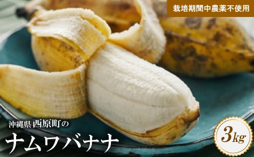 西原町の栽培期間中農薬不使用のナムワバナナ3kg【1616143】