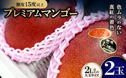 ＜2026年6月から順次発送＞糖度15度以上!JAおきなわが厳正したプレミアムマンゴー2玉【1641002】