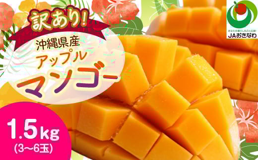＜2026年6月から順次発送・訳あり＞アップルマンゴー1.5kg(3～6玉)_ マンゴー フルーツ 果物 くだもの アップルマンゴー 人気 おすすめ 送料無料 訳あり 数量限定 期間限定 傷 規格外 完熟 沖縄県 冷蔵 【1494040】