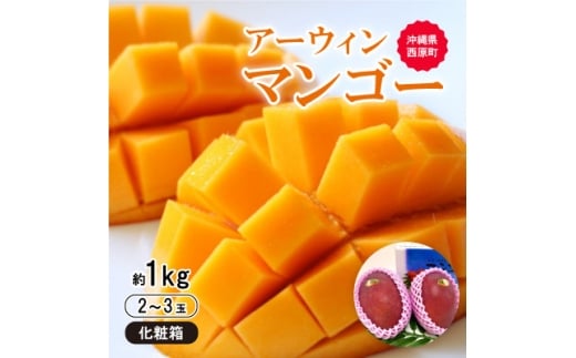 ＜2026年6月から順次発送・化粧箱＞JA厳選のアップルマンゴー1kg(2～3玉)【1494042】