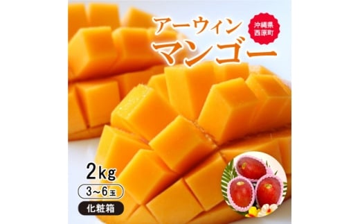 ＜2026年6月から順次発送・化粧箱＞JA厳選のアップルマンゴー2kg(3～6玉)【1494044】