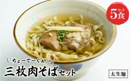 〈太生麺〉ちょーでーぐぁ 沖縄そば(三枚肉)5食セット【1522926】