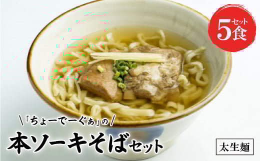 〈太生麺〉ちょーでーぐぁ 沖縄そば(本ソーキ)5食セット【1523012】