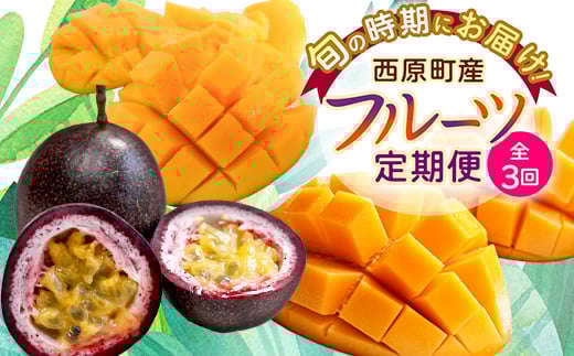 ＜発送月固定定期便＞沖縄の豊かな自然で育ったフルーツ定期便全3回_ 定期便 フルーツ 果物 ふるーつ 沖縄 パッションフルーツ アーウィンマンゴー キーツマンゴー 贈答 ギフト 人気 おすすめ 【4058900】