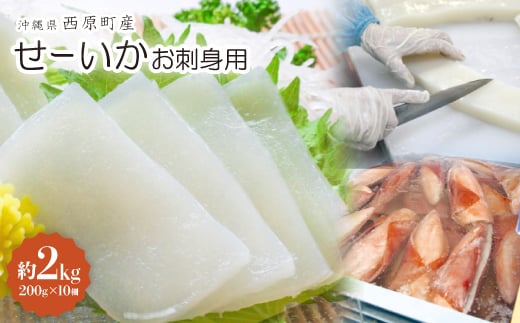 セーイカ お刺身用 約2kg(200g×10柵)【1564827】