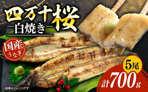 【通常用】極上国産うなぎ四万十桜 白焼き約140g×5尾 | 完全無投薬 うなぎ 鰻 白焼き 国産 四万十鰻 ウナギ 蒲焼き 調理済み タレ付き ギフト(お歳暮/お正月)高級 お取り寄せ グルメ ウナギ 食べ比べ 冷凍 家庭用