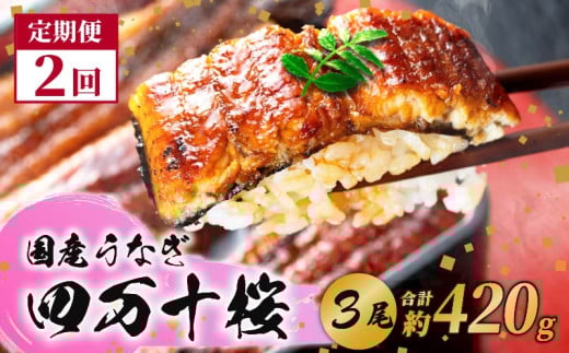 【通常用】【2回定期便】極上国産うなぎ四万十桜 蒲焼き約140g✕3尾 | うなぎ 鰻 蒲焼き 定期便 国産 四万十鰻 白焼き 調理済み タレ付き 頒布会 ギフト(お歳暮/お正月)高級 お取り寄せ グルメ 食べ比べ 冷凍