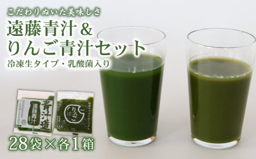 遠藤青汁とりんご青汁 【生】 冷凍 各28袋×2種セット 計5.6kg( 100g × 56袋 ) | 健康 美容 乳酸菌 国産 ケール ビタミン ミネラル 食物繊維 冷凍 ロングセラー お試し青汁 遠藤青汁 新鮮 高知県 南国市