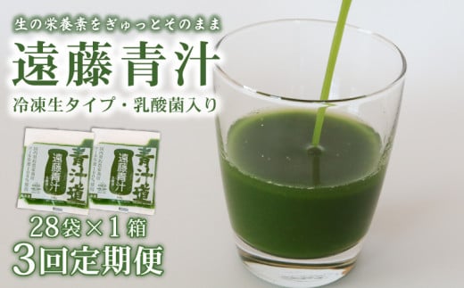 【3ヶ月定期便】 遠藤青汁 【生】 冷凍 1箱 2.8kg( 100g × 28袋 ) | 健康 美容 乳酸菌 国産 ケール ビタミン ミネラル 食物繊維 冷凍 ロングセラー お試し青汁 遠藤青汁 新鮮 高知県 南国市