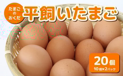 平飼い卵 20個入り (10個×2パック) | たまご 卵 タマゴ 鶏卵 たまごかけごはん TKG オムレツ 卵かけご飯 たまご焼き おいしい 人気 おすすめ 高知県 南国市]