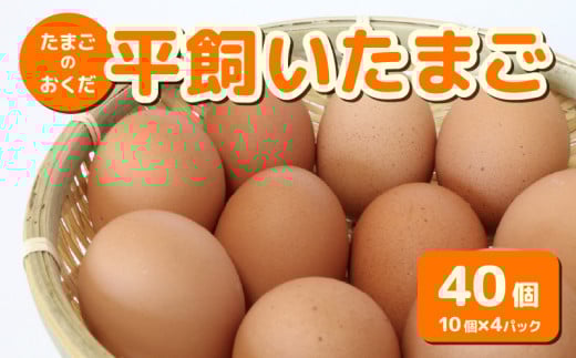 平飼い卵 40個入り (10個×4パック)[たまご 卵 タマゴ 鶏卵 たまごかけごはん TKG オムレツ 卵かけご飯 たまご焼き おいしい おすすめ 高知県 南国市]