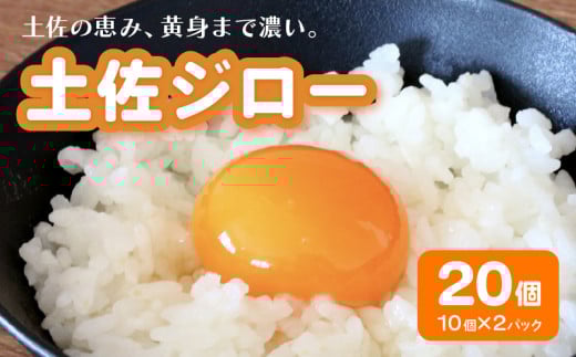 土佐ジローの卵 20個入り (10個×2パック)[たまご 卵 タマゴ 鶏卵 たまごかけごはん TKG オムレツ ケーキ 卵かけご飯 たまご焼き おいしい おすすめ 高知県 南国市]