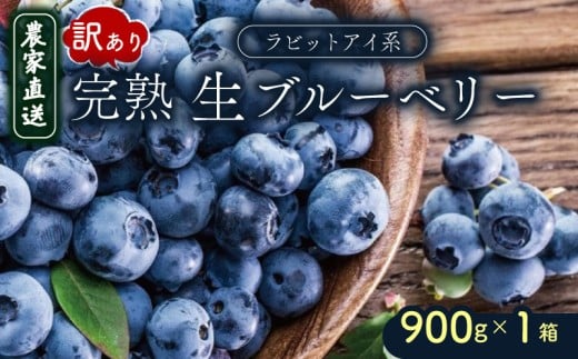訳あり 完熟生ブルーベリー(ラビットアイ系)900g | 2026年発送 ブルーベリー ベリー フルーツ 果物 くだもの 産地直送 期間限定 数量限定 わけあり 訳アリ 生 旬 季節限定 高知県 南国市